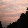 Divyanshu Singh