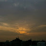 Manvi falwaria