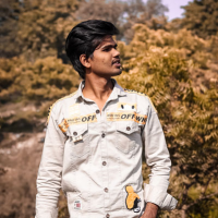 ankitpanday8001
