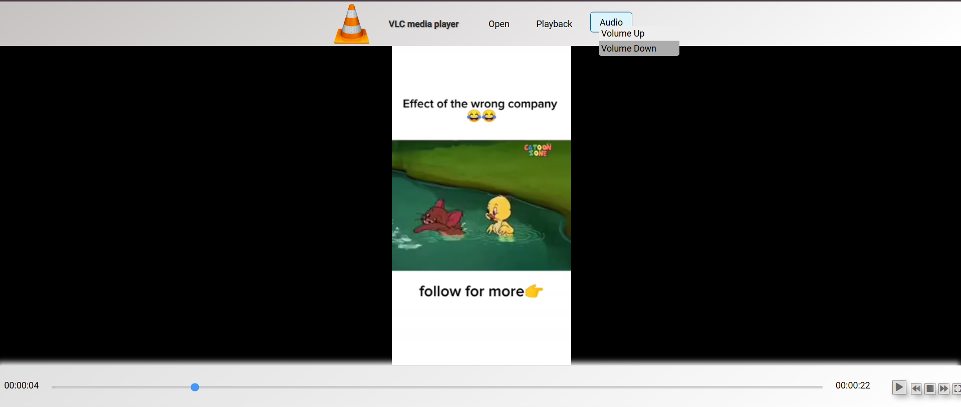 VLC Media Player