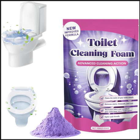 FizzClean Toilet Cleaning Form 