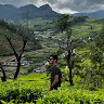 Aditya Raikar