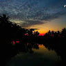 Bijoy