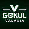 GOKUL G K