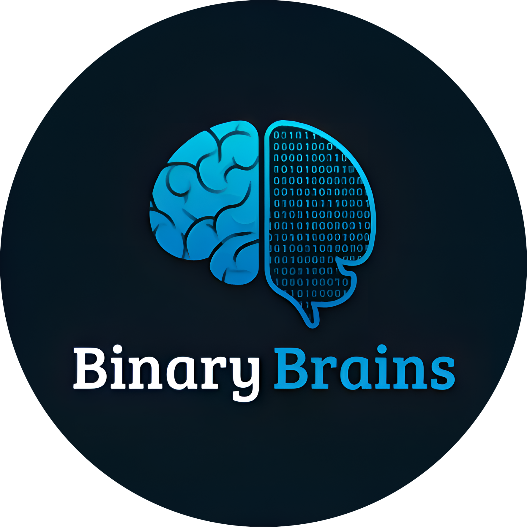 Binary Brains