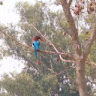 shubham kaushik