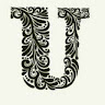Urooj