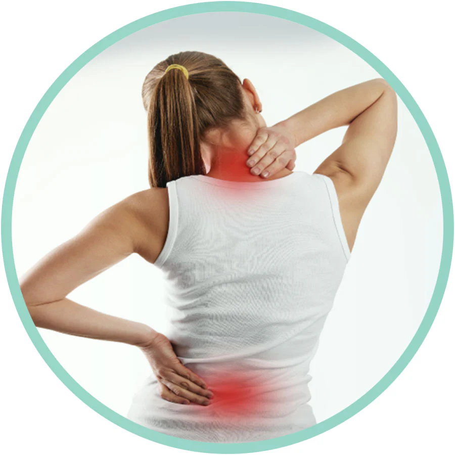 Green Mountain CBD Gummies