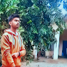 Arnav Tomar