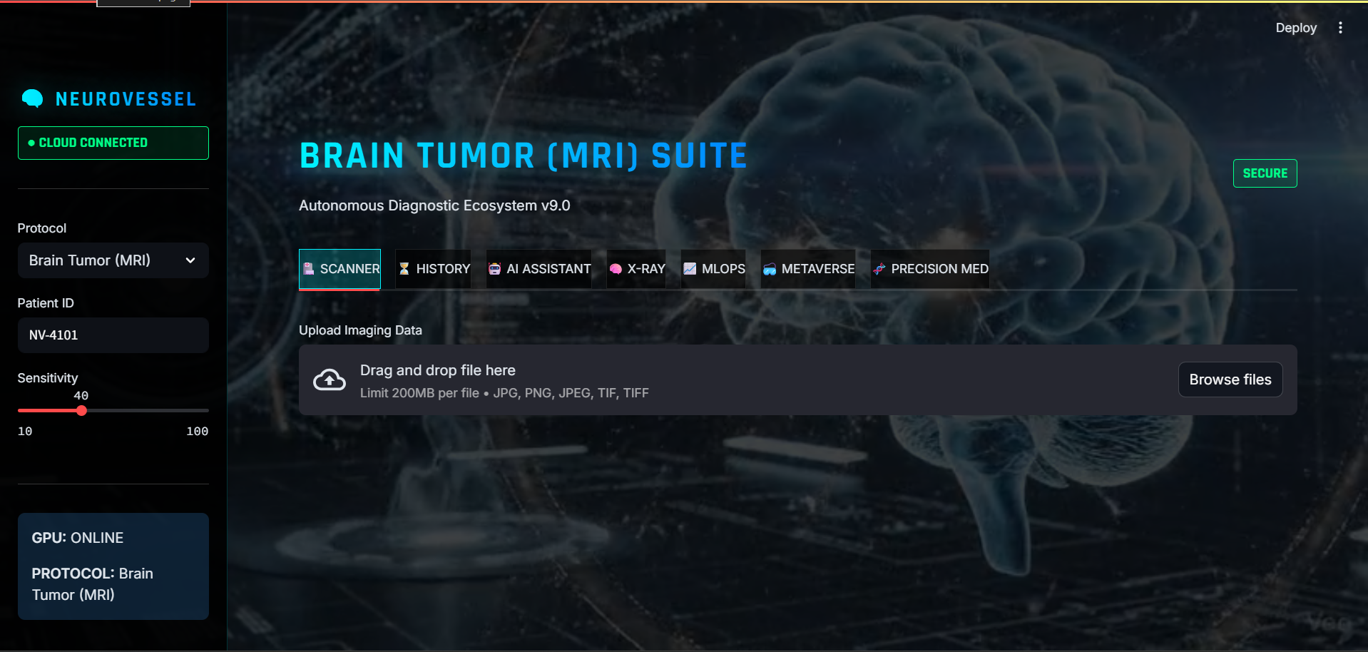 NeuroVessel 