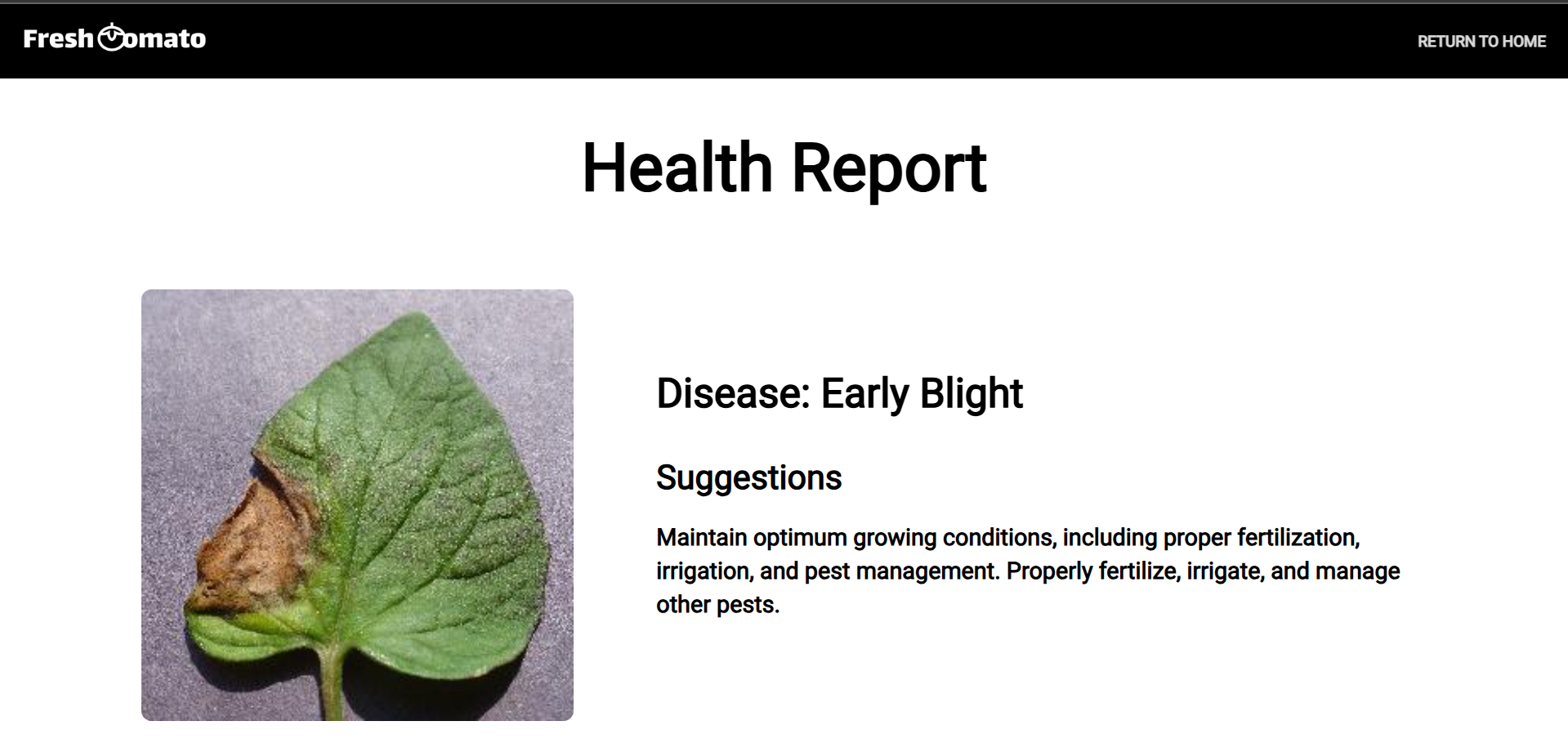 FreshTomato- AI powered Leaf Disease Detection