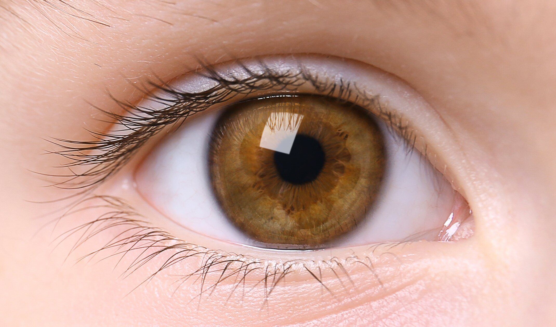 ProperEyes Vision Restoration Netherlands