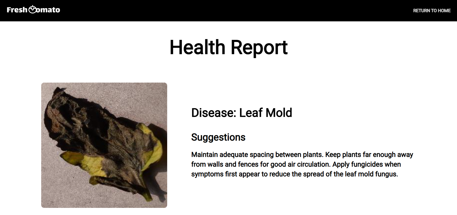 FreshTomato- AI powered Leaf Disease Detection