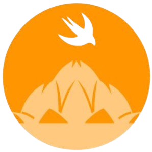 Swift Delhi February Meetup Snap Lens