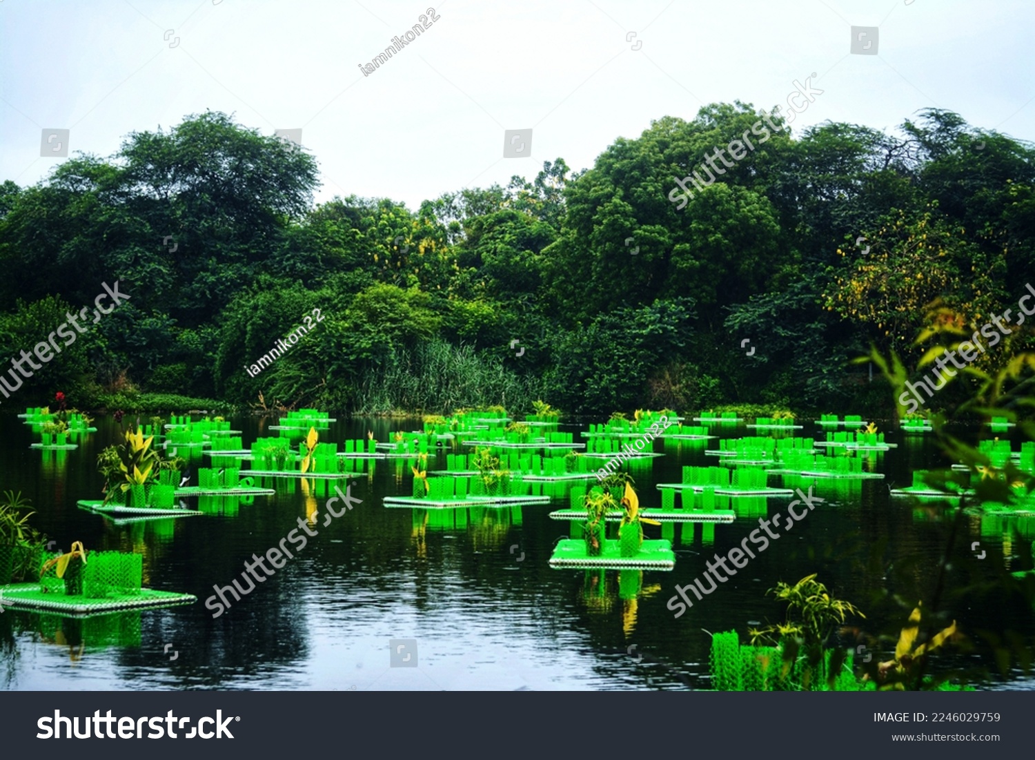 Nature's little Magic