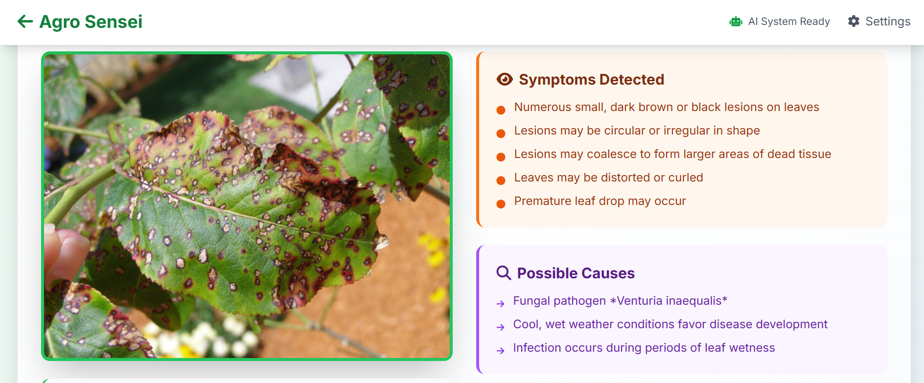 Agro Sensei – an AI-powered crop disease detection platform Agro Sensei – an AI-powered crop disease detection platform