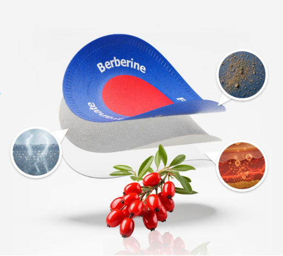 Purisaki Berberine Patches Subscription Usage, Benefits & Results