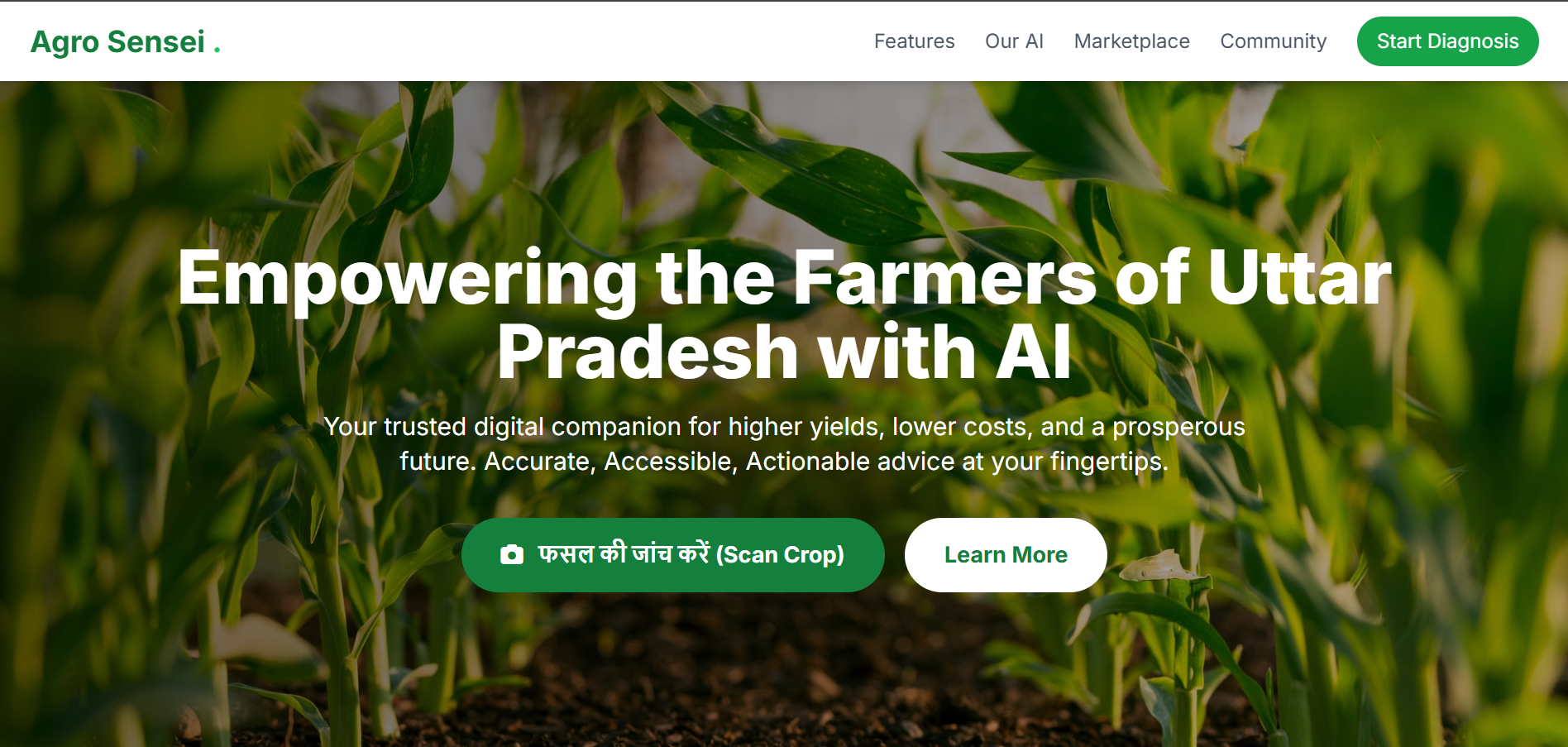 Agro Sensei – an AI-powered crop disease detection platform Agro Sensei – an AI-powered crop disease detection platform