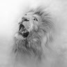Priyanshu Dixit