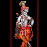 Selva Malar S