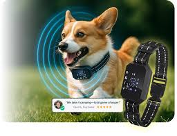 Furthrive GPS : Benefits, Effects & Top Products Furthrive GPS : Benefits, Effects & Top Products
