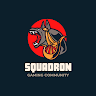 Squadron