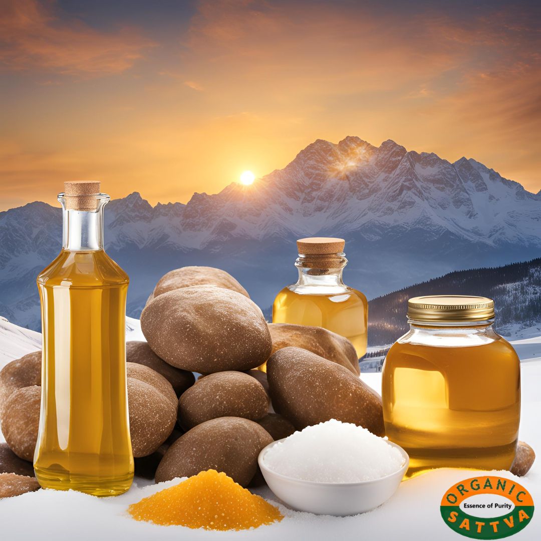 Canva X AI: Canva Design Contest Submission