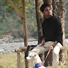 Anubhab Saha