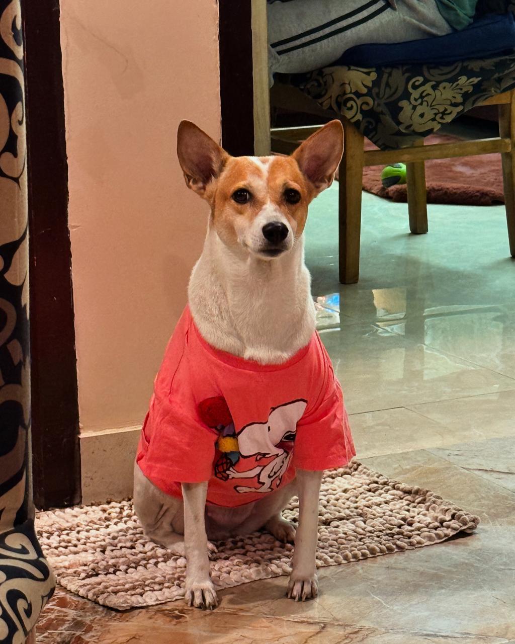 Rishabh Swastiaditya Srivastava