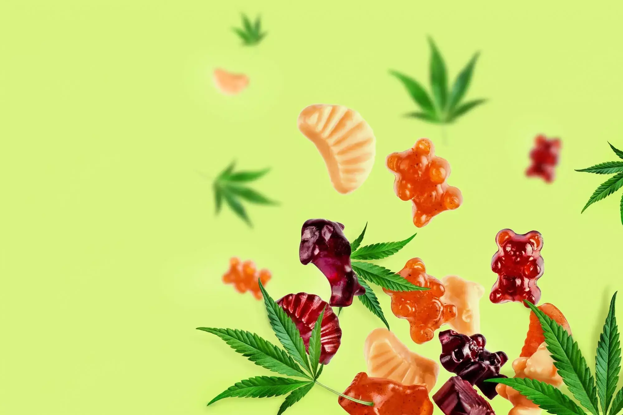 Nature’s Boost CBD Gummies – Daily CBD Wellness & Relaxation Support Nature’s Boost CBD Gummies – Daily CBD Wellness & Relaxation Support