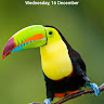 Vishnu Prasad S