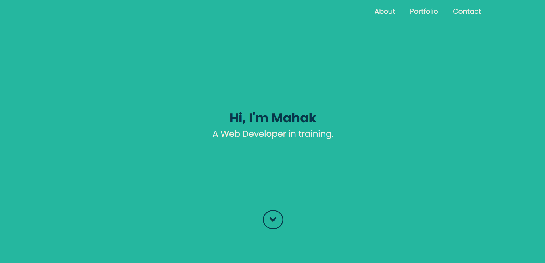 Portfolio Portfolio