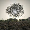 Ashutosh Jha