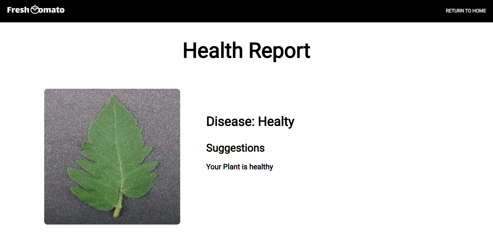 FreshTomato- AI powered Leaf Disease Detection