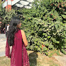 Sanvi Gulati