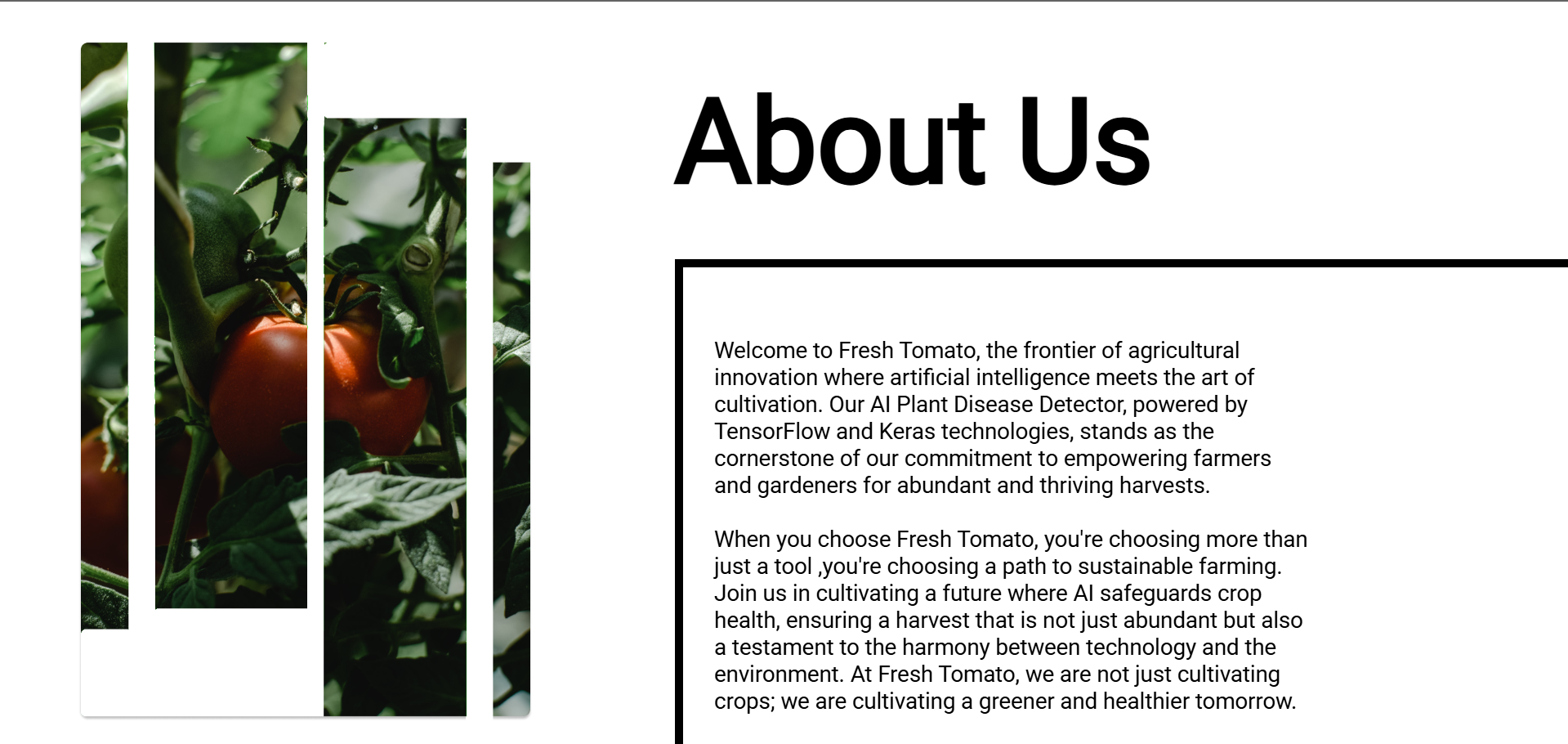 FreshTomato- AI powered Leaf Disease Detection
