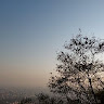 33_Aniket Jagtap