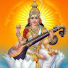 Arnav P Garg