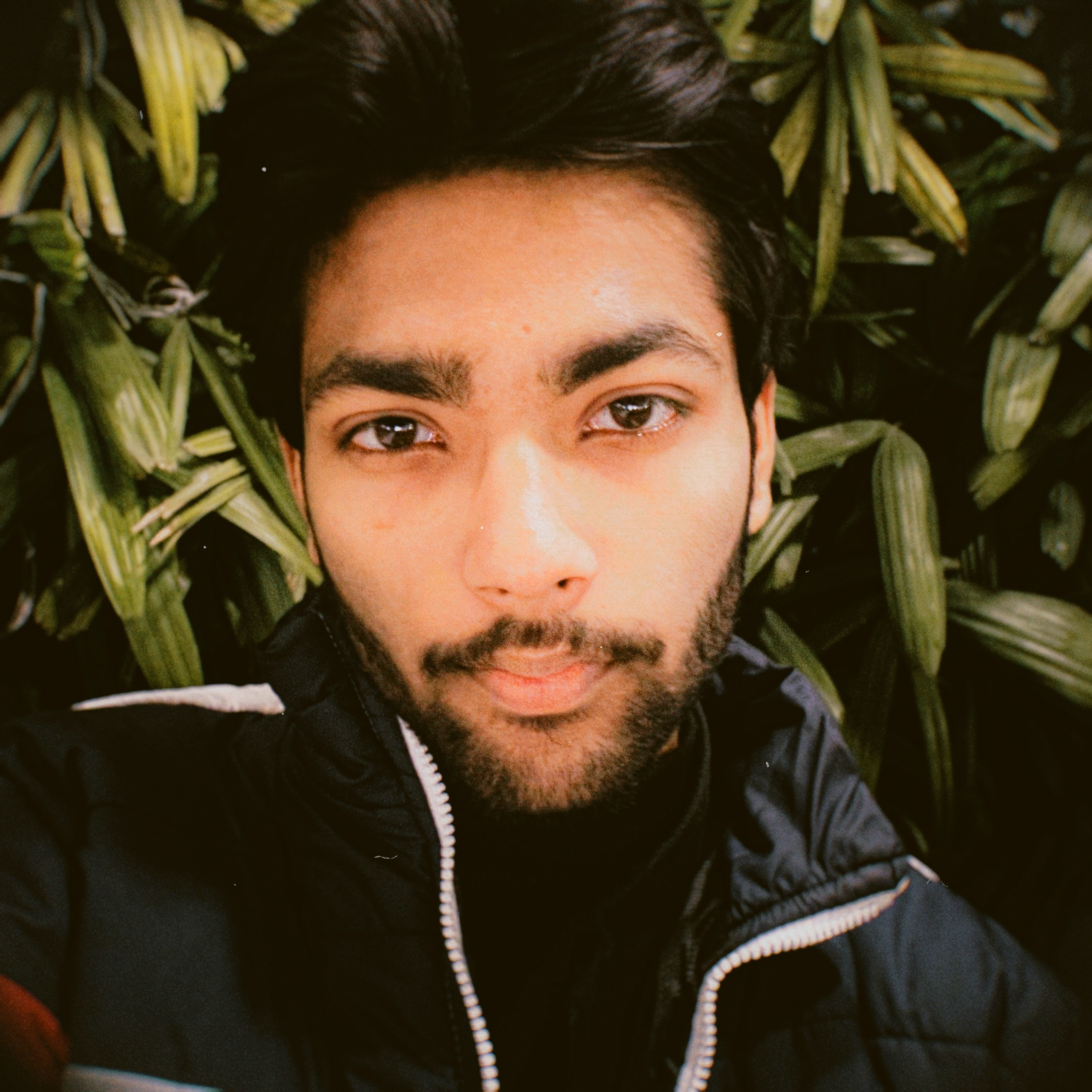 Abhinav Chauhan