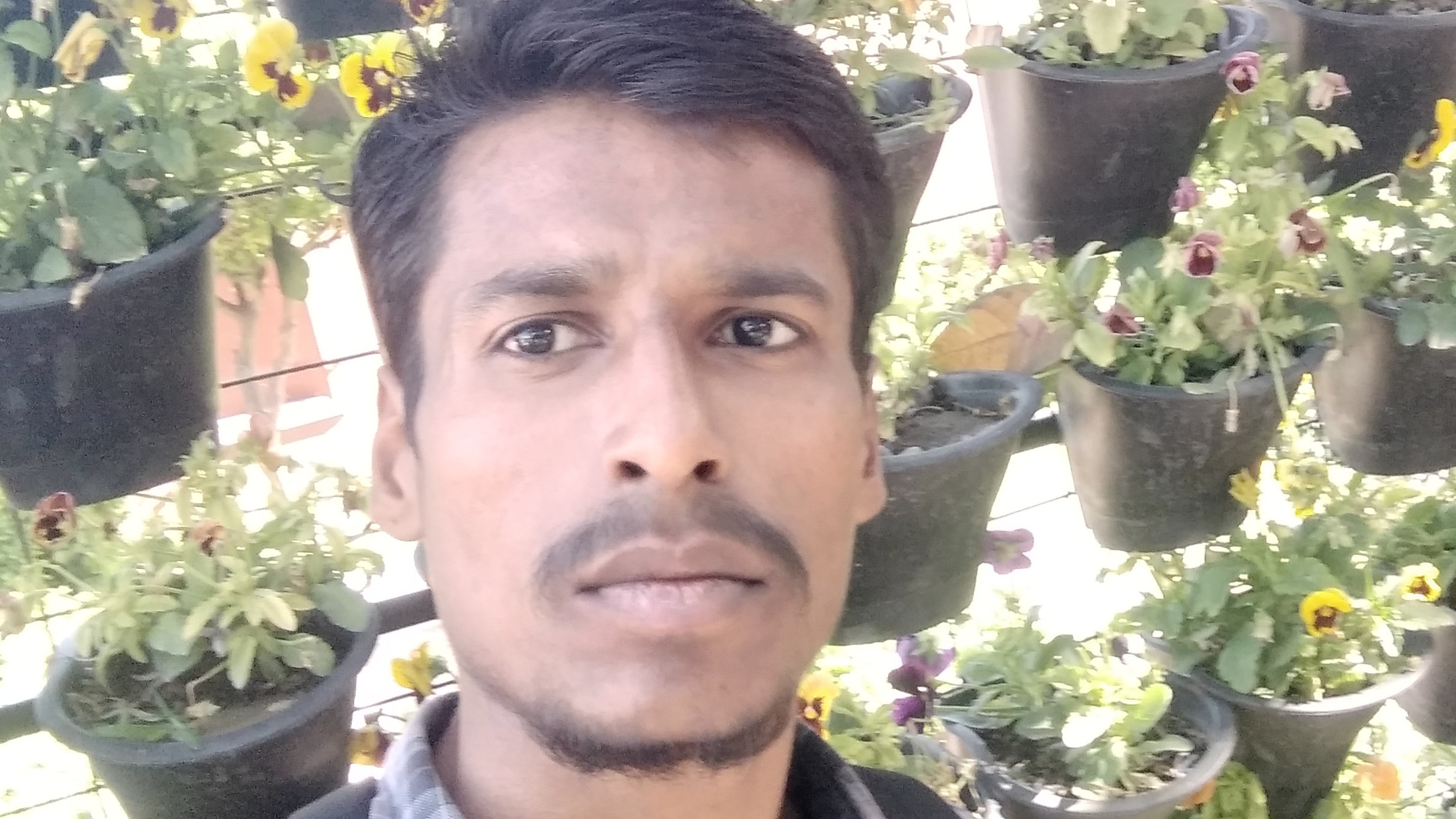 Deepanshu Shukla Deepanshu Shukla