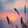 Ashish Varma