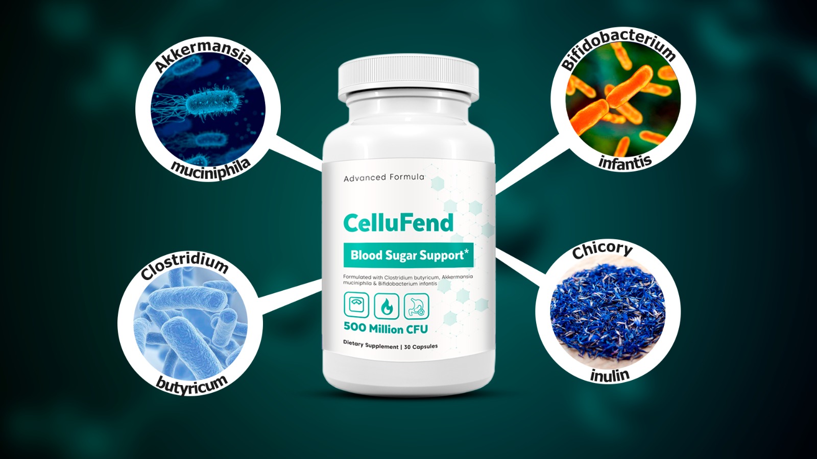 CelluFend Reviews 2025 [Side Effects & Complaints] User Report: Does CelluFend Blood Sugar Sup Work?