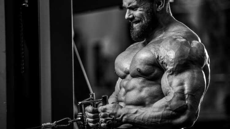 Best Legal Steroids