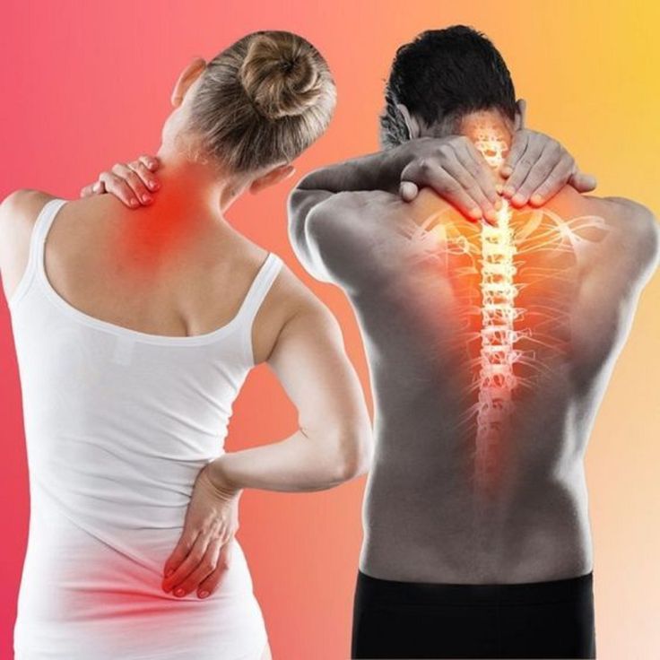 Farm Health Organics CBD 