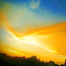 Sunny kasare