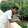 Ramanshu