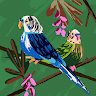 R Shasi Kiran