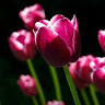Deepak