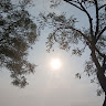 Rahul Pandit
