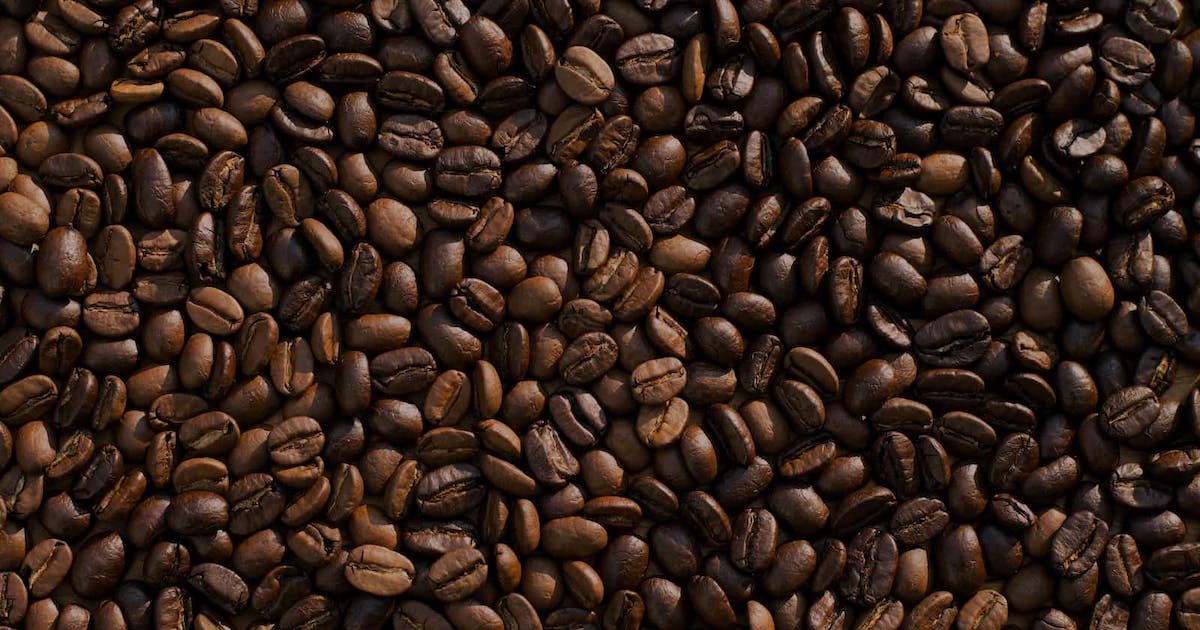 Reflecting on an Incredible 6-Month Journey: My Internship at Team Black Box